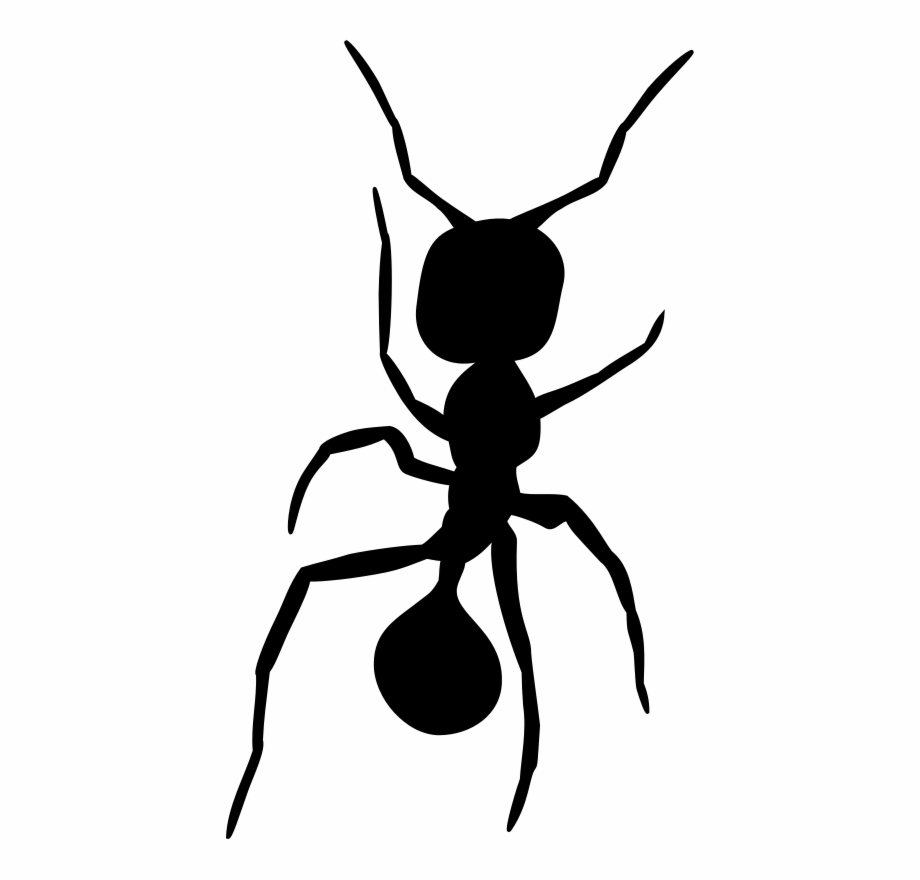 Ants silhouette clip.