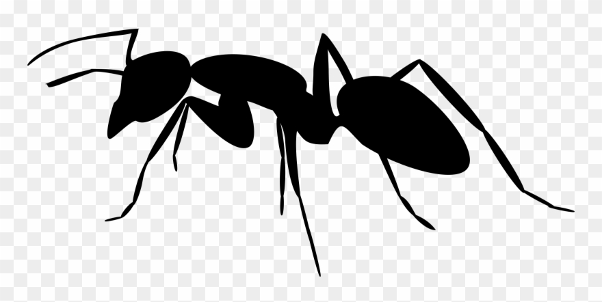 Ant Black And White Ant Clipart The