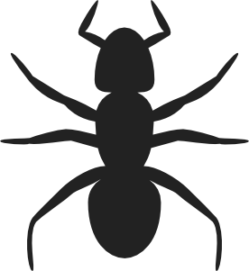 Ant clipart simple.