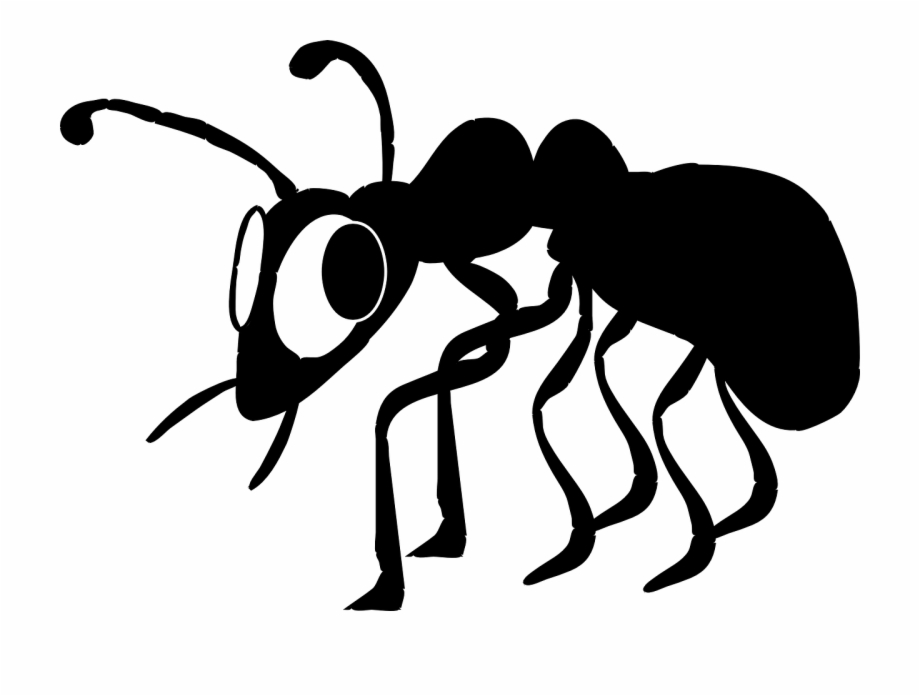 Ant clipart small.