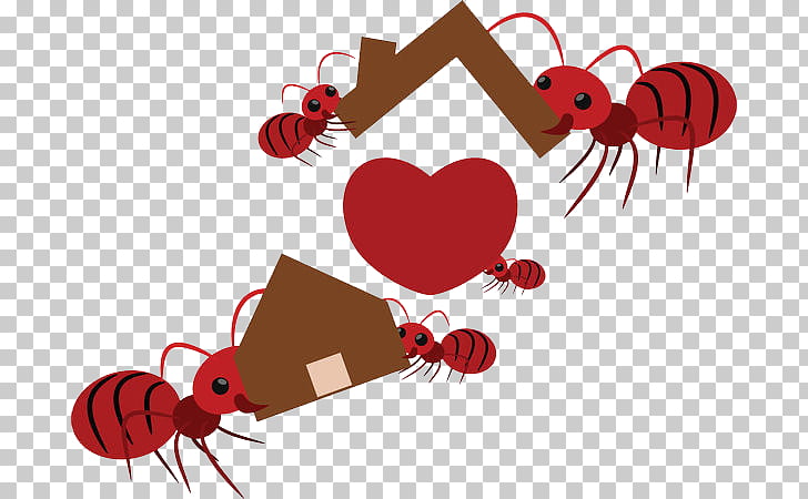 Ant Teamwork Euclidean Illustration, Ants move houses PNG