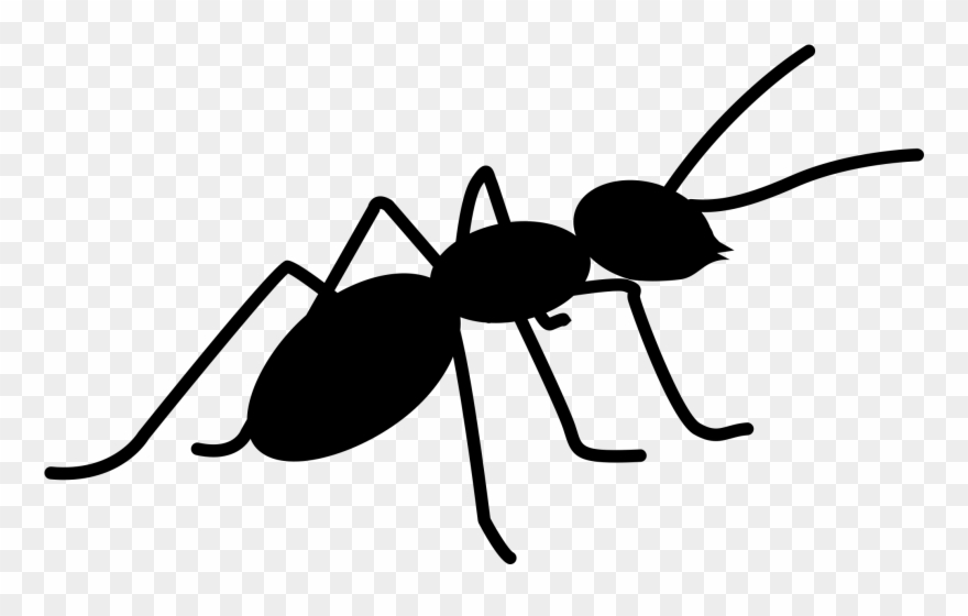 Vector ant svg.