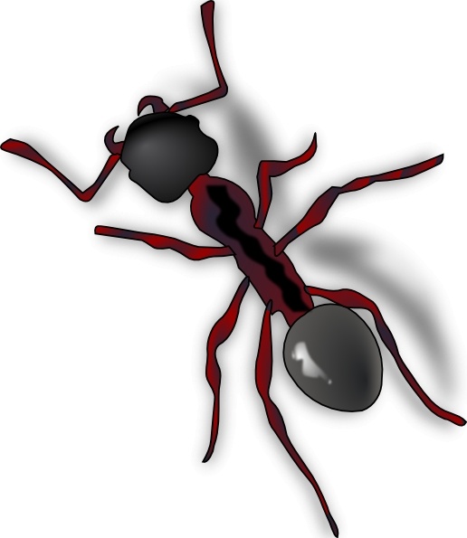 Ant clip art Free vector in Open office drawing svg