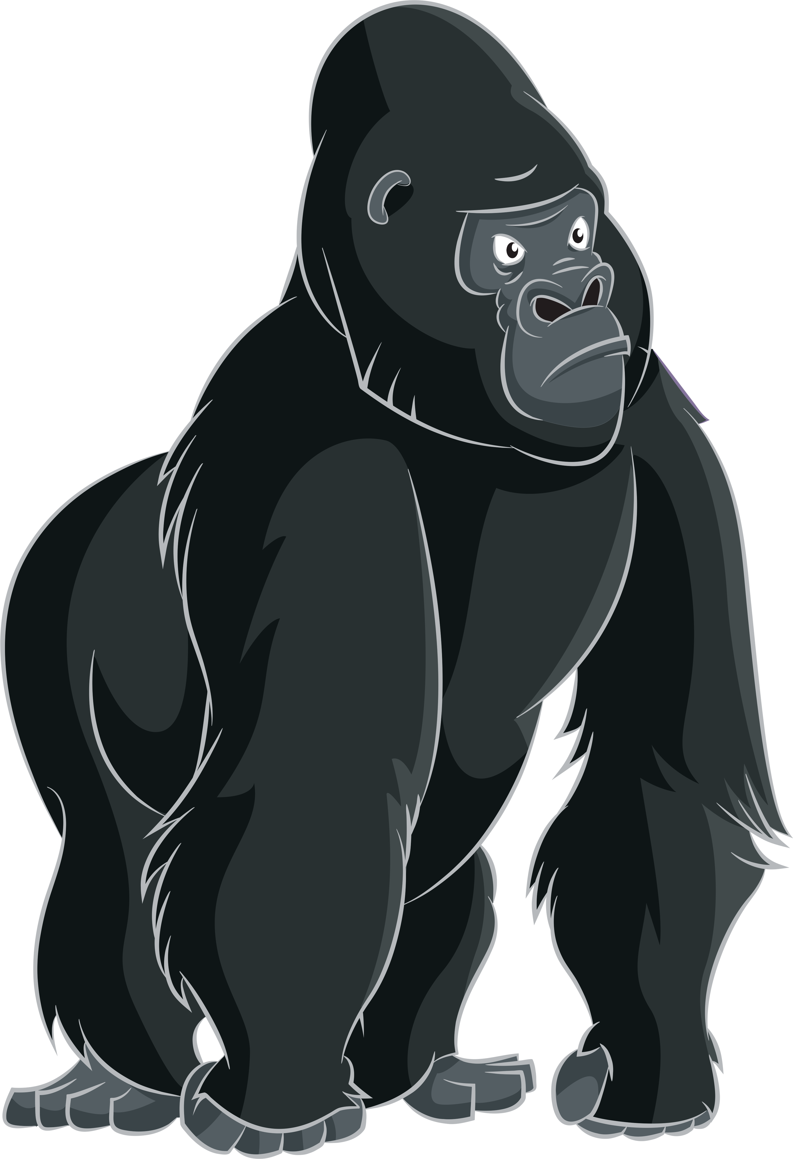 Gorilla ape cartoon.