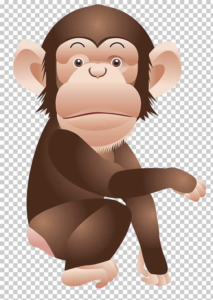 Chimpanzee Monkey Ape , Monkey , chimpanzee illustration PNG