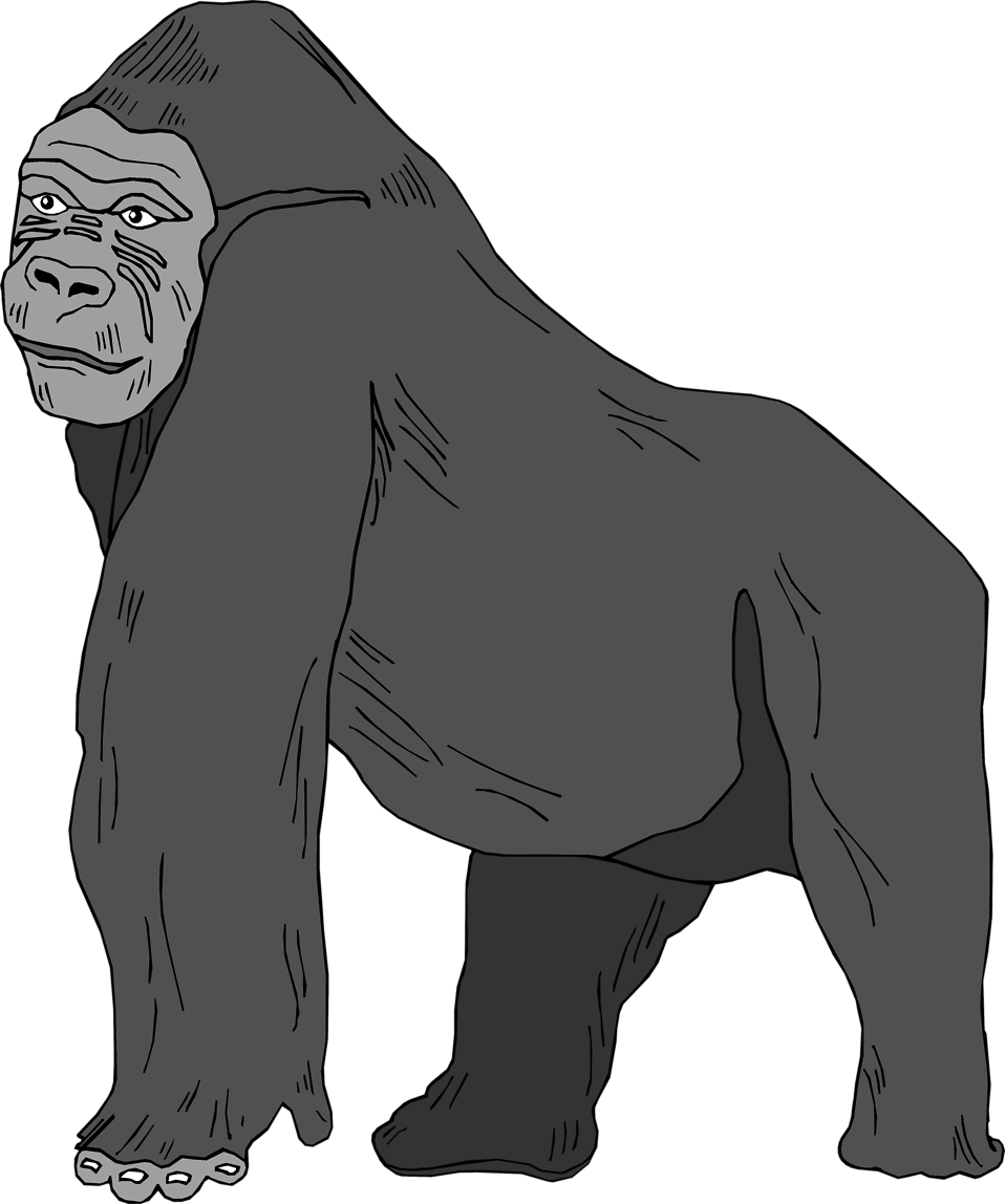 Muscles clipart gorilla.