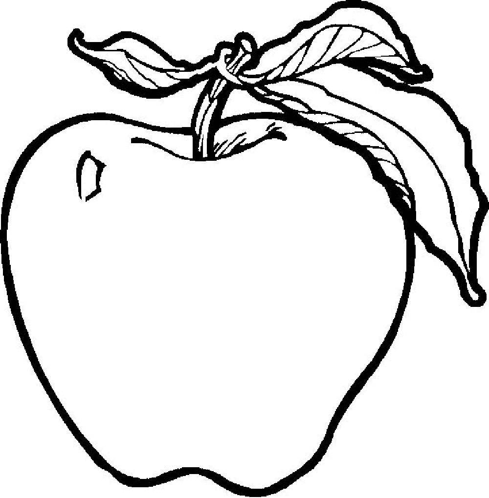 Fruit apple primary.