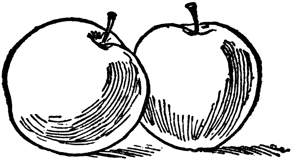 Free Apple Clipart Black And White, Download Free Clip Art