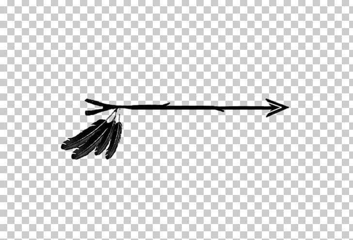 Arrow feather png.