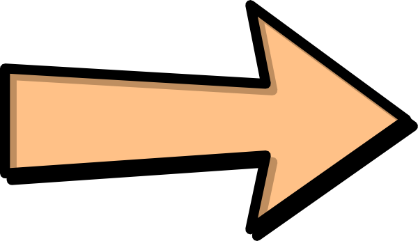 Orange arrow clip.