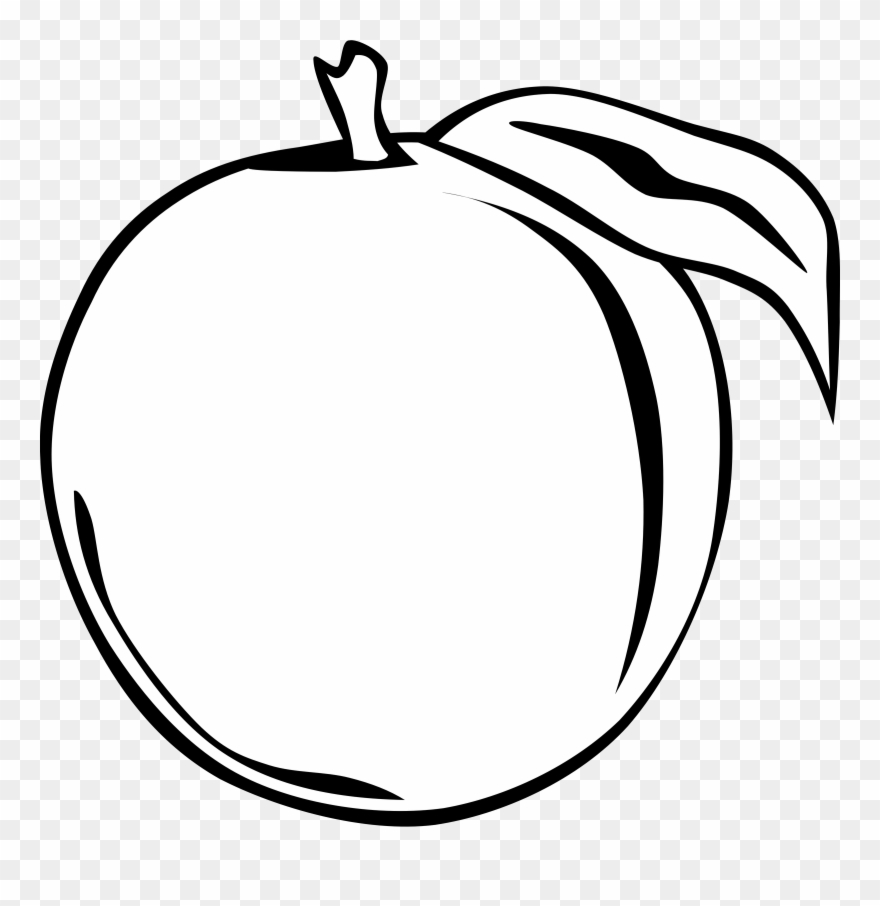 Orange Clipart Black And White Png Transparent Png
