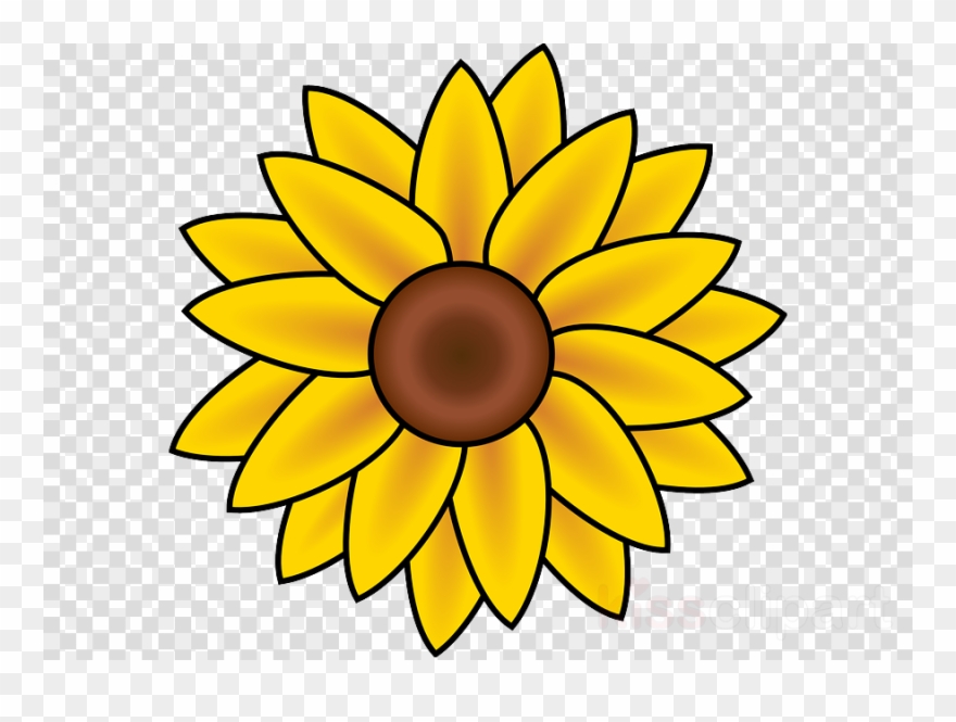 Sunflower August Clipart Drawing Clip Art