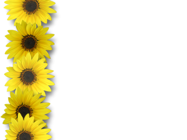Free Sunflowers Clipart, Download Free Clip Art on Owips