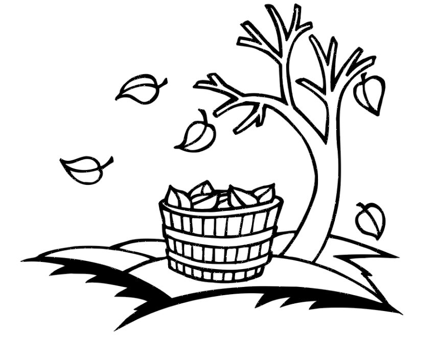 Autumn coloring pages.