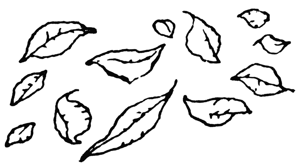 Free Falling Leaves Clipart, Download Free Clip Art, Free