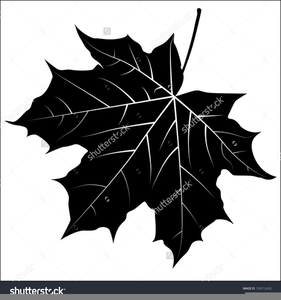 Autumn Leaves Clipart Black White