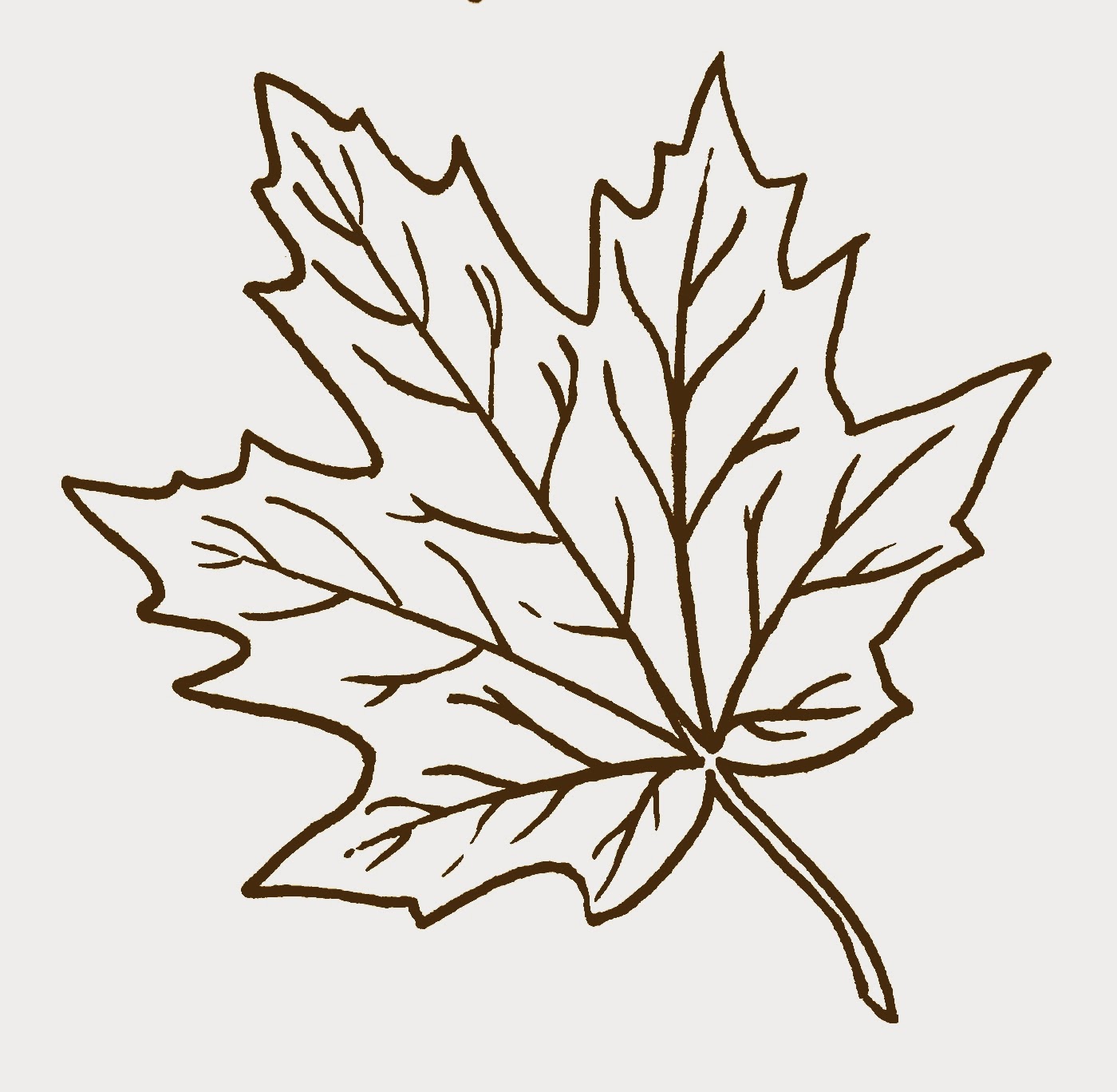 Best maple leaf.