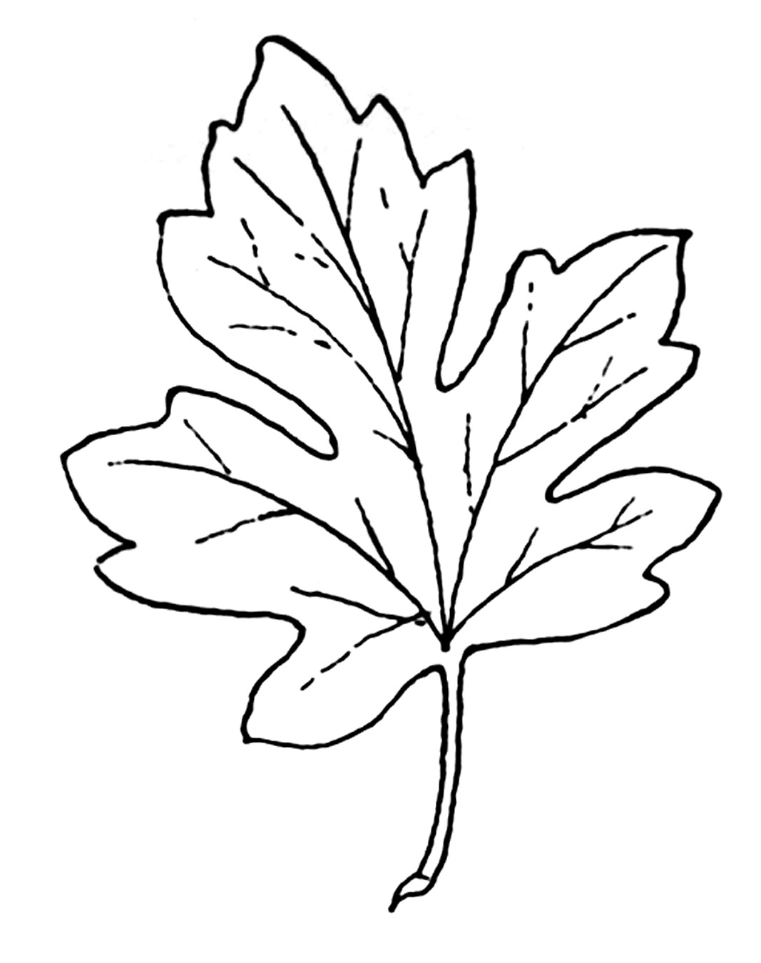 Fall black and white leaves clipart black and white