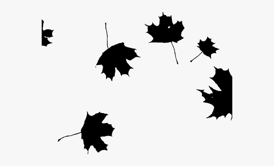 Maple leaf clipart.
