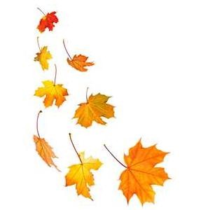 Free Fall Leaves Clip Art, Download Free Clip Art, Free Clip