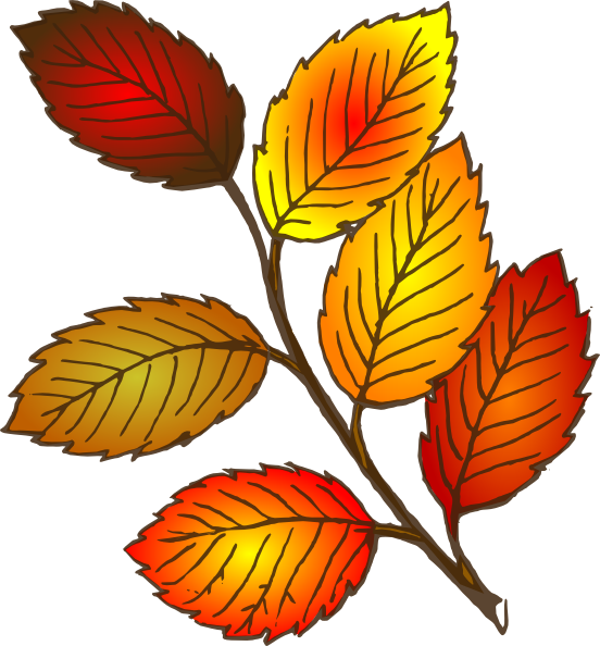 Free Autumn Flowers Cliparts, Download Free Clip Art, Free