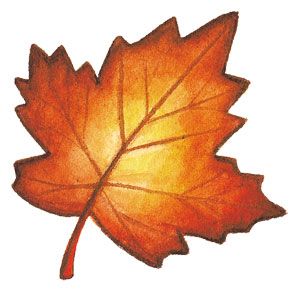 Autumnal leaf art.