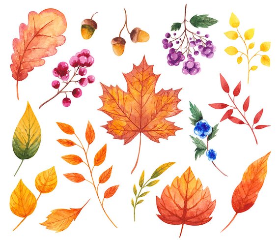 Fall watercolor clipart Autumn clipart Fall clipart Leaves