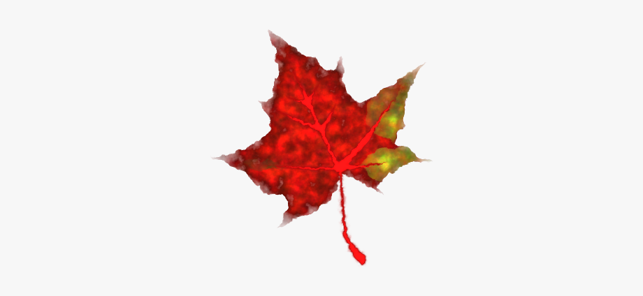Animated falling leaves.