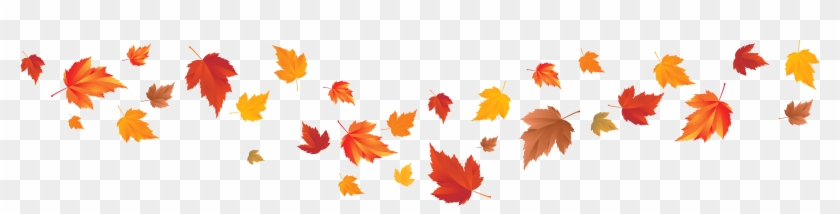 Fall leaves image.