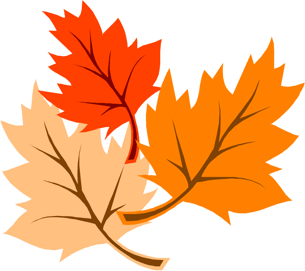 Autumn leaf color Clip art