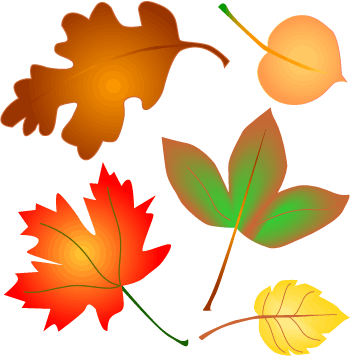 Cartoon autumn leaves.