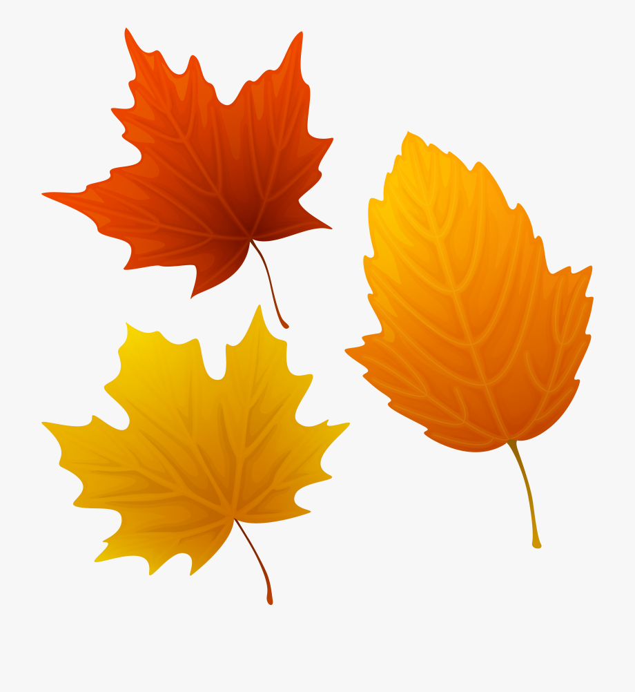 Autumn leaf clipart.