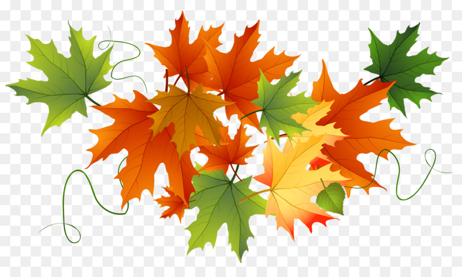 Autumn Leaves Background clipart