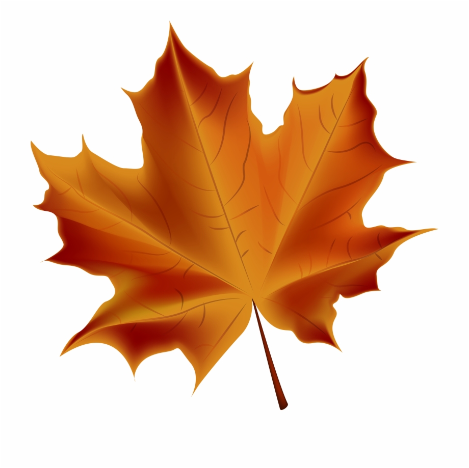 Free Fall Leaf Transparent Background, Download Free Clip