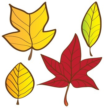 Autumn Leaves Clipart Set