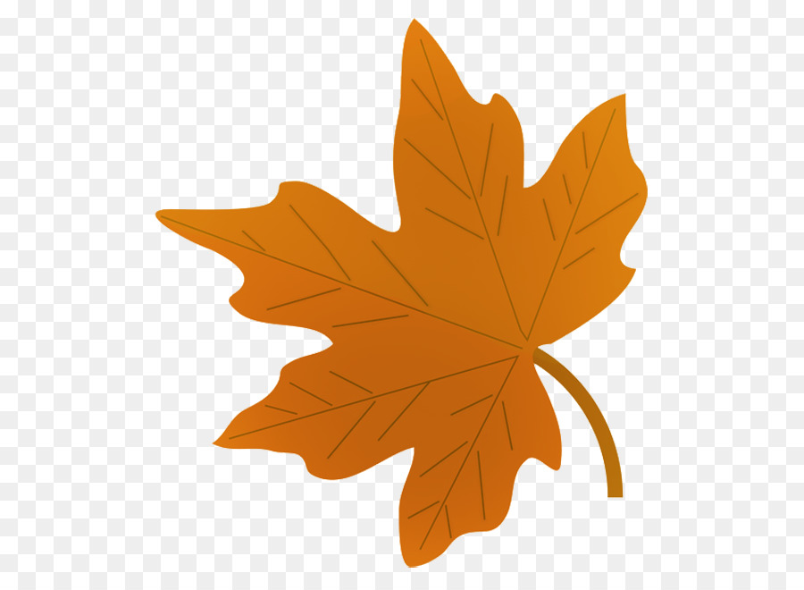 Autumn leaf drawing.