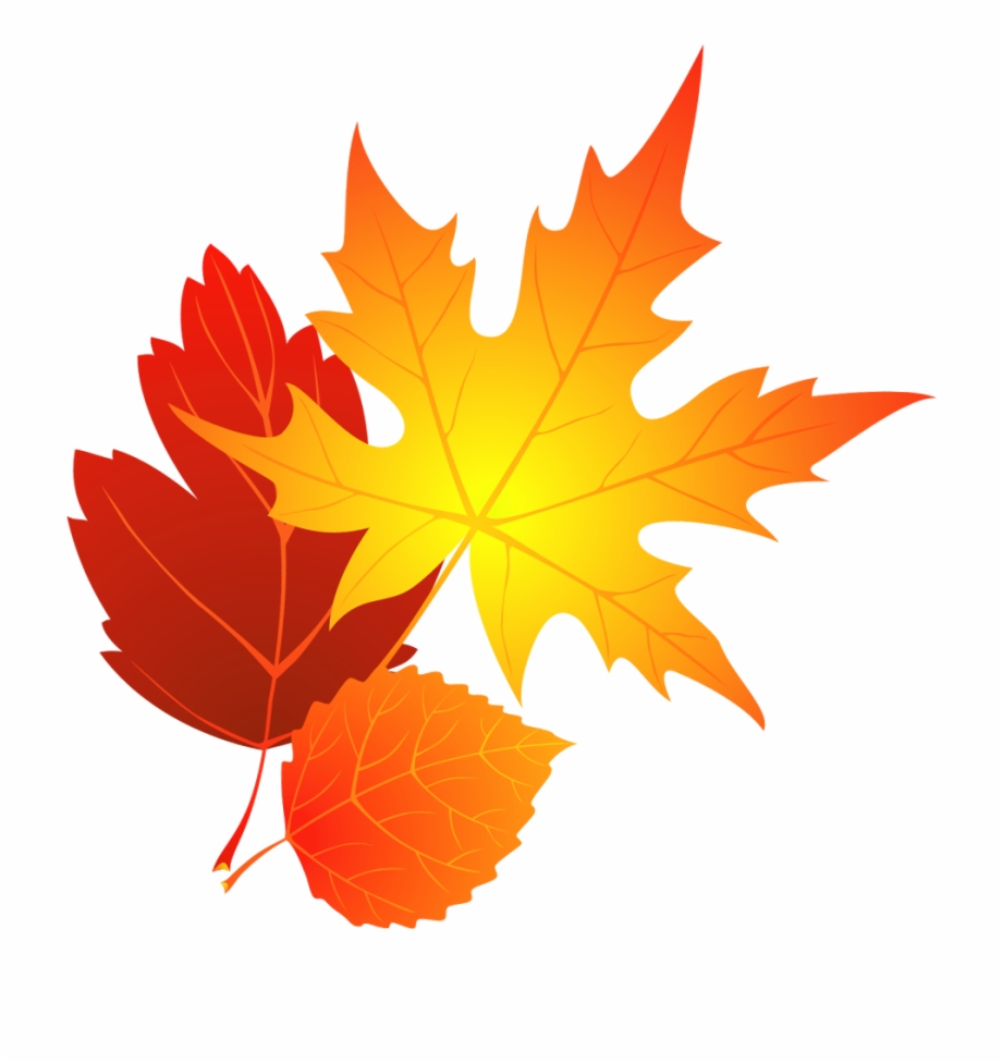 Fall Background Clipart Cliparts Co Fall Leaves Drawing