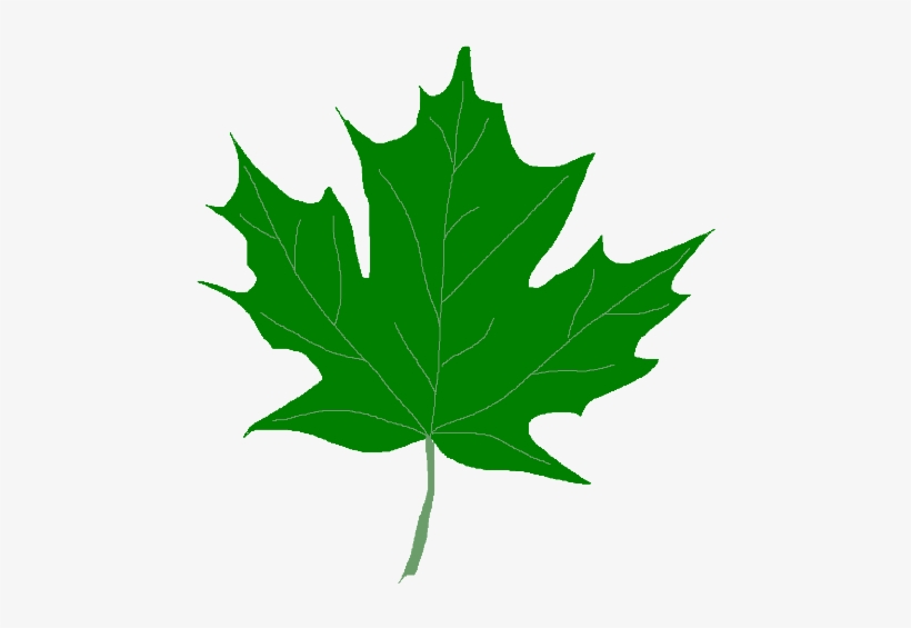 Leaves clipart green.