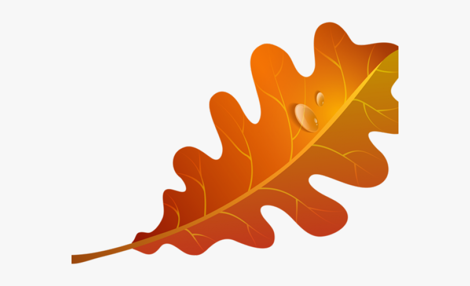 Autumn Leaves Clipart Orange Leaf