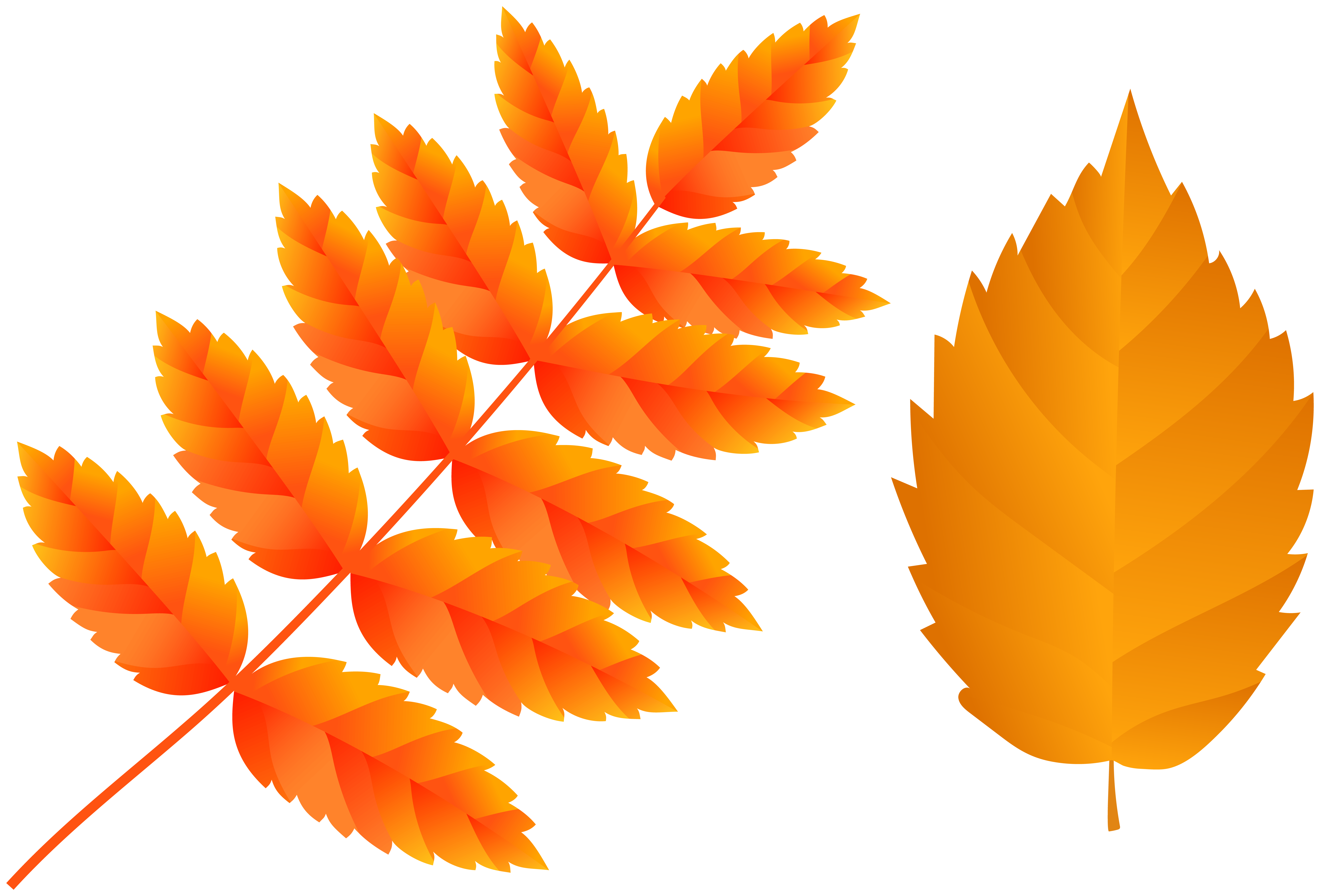 Two Orange Fall Leaves PNG Clip Art Image