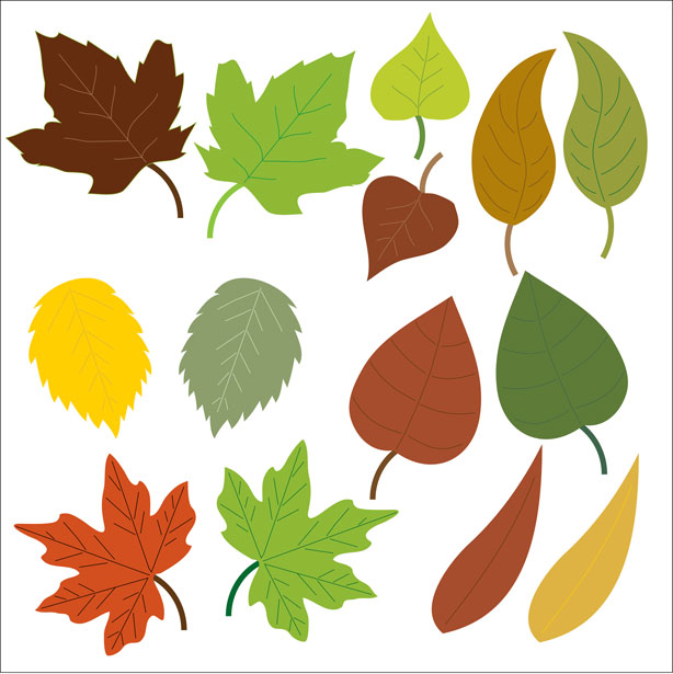 Leaves Clipart Free Stock Photo
