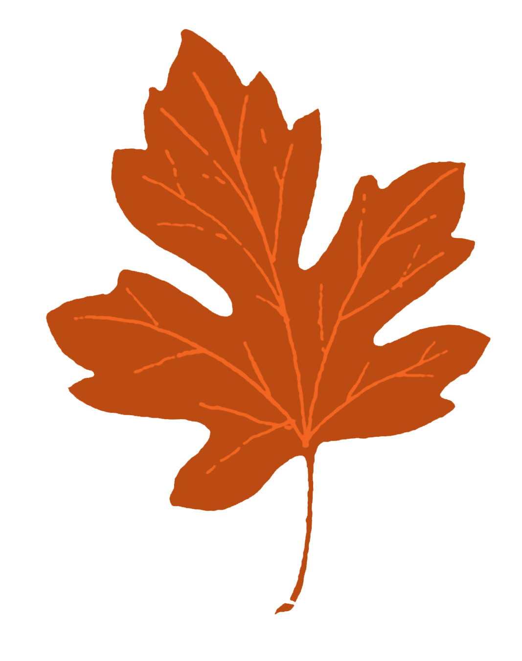 Simple autumn leaf.