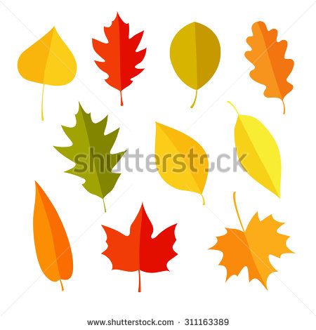 Autumn leaves set, isolated on white background