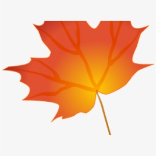 Autumn Leaves Clipart Orange Leaf