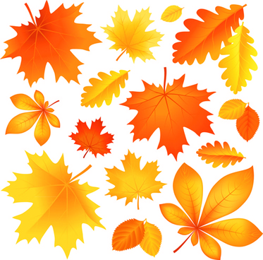 Free vector autumn leaves free vector download