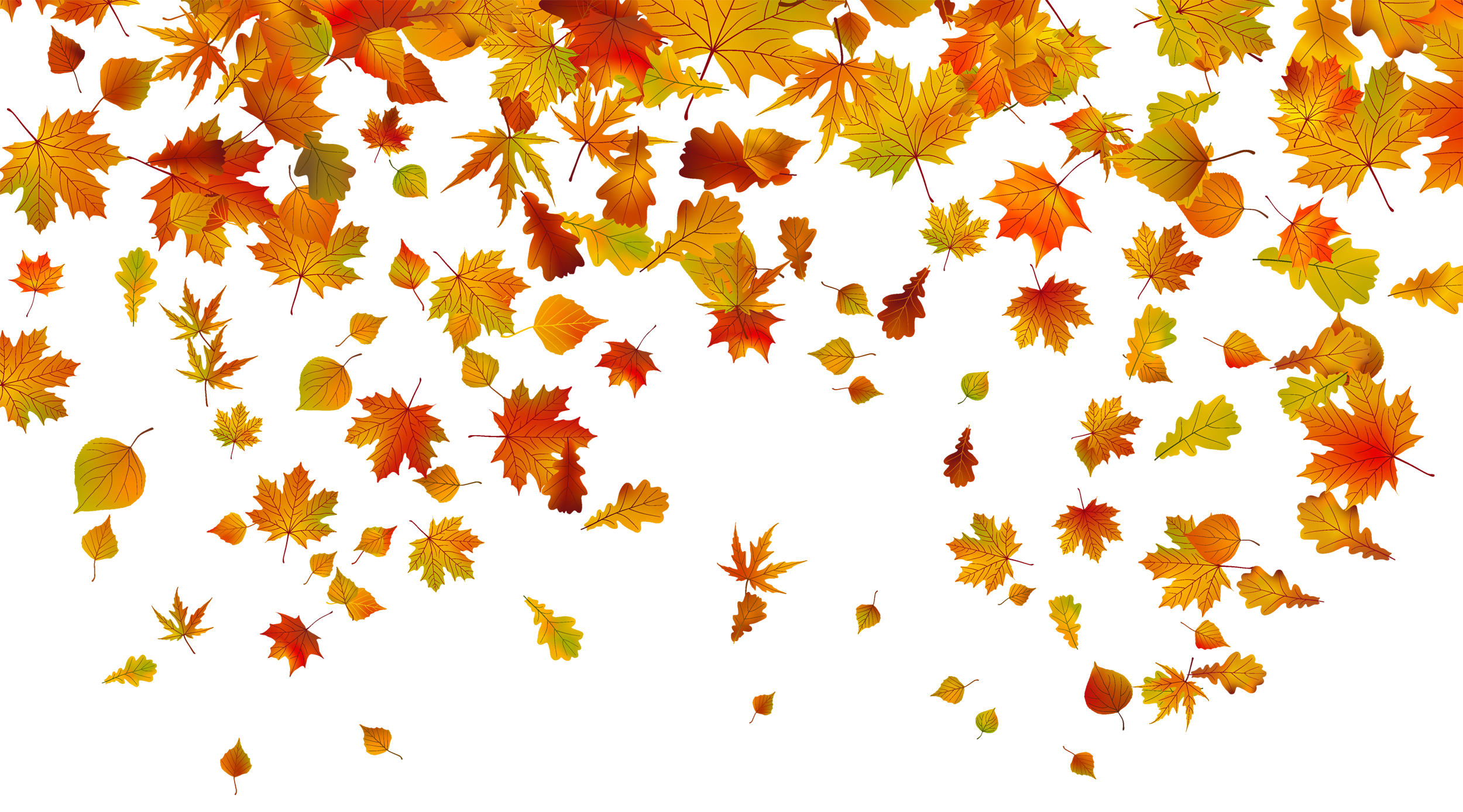 Fall leaves background.