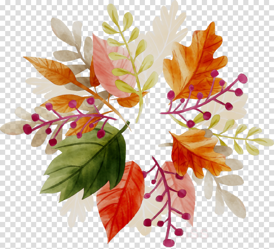 Autumn Leaf Drawing clipart