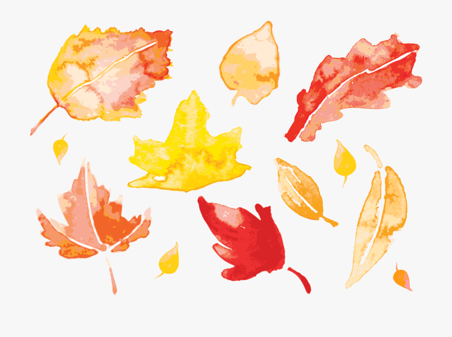 Fall leaf vector.