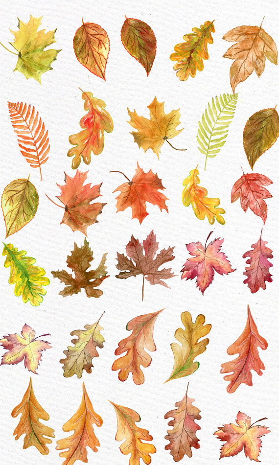 Watercolor leaves clipart.