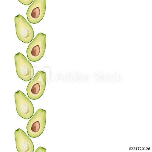 Vector seamless decorative border of avocado slice on white